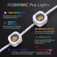 Vente en gros de lumières de gouttière en plastique permanentes 50/100/200 pieds Pro IP67 Anti-UV OEM ODM Contrôle vocal par application Dimmable Garantie 3 ans Noël
