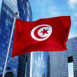 Drapeau publicitaire personnalisé du drapeau tunisien 3x5 pieds, imperméable, écologique, 100% polyester, drapeau volant pour les fans - Product Image 6