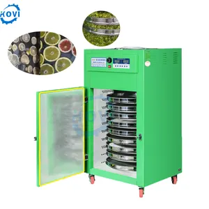 Colorful dry daisy flower for home decoration high quality drying equipment electric green tea dryer best price