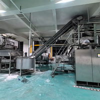 Mesin Produksi Pengolahan Pistachio yang Dapat Disesuaikan, Otomatis Membersihkan, Menyortir, Memanggang, Mengeringkan, Mengklasifikasikan, dan Mengemas