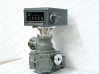 Medidor de Flujo de Combustible de Alta Precisión, Contador Mecánico para Medir Gasolina, Diésel y GLP