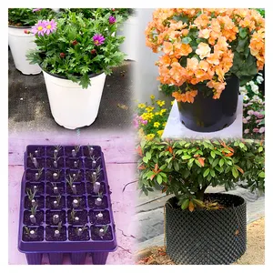 家庭花园供应多种尺寸塑料花盆播种机移植双色耐用育苗盆