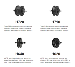 <span class=keywords><strong>Kit</strong></span> de conversion de vélo électrique 48V 1000W 26 pouces <span class=keywords><strong>Roue</strong></span> avant/arrière Moteur puissant <span class=keywords><strong>Kit</strong></span> de conversion de vélo électrique <span class=keywords><strong>Kit</strong></span> de moteur <span class=keywords><strong>Bafang</strong></span> H720 H710 - Product Image 5