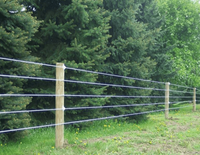 Haute Qualité 200m Acier Inoxydable Volaille Ferme Clôtures Polywire Offre Spéciale Électrique Clôture Polywire