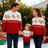 Pull de Noël personnalisé OEM d'usine pour enfants et adultes, tenues assorties parent-enfant, pull jacquard à motif de dessin animé