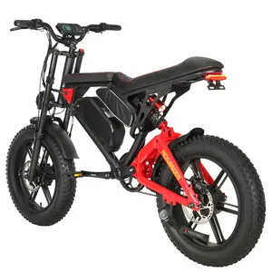 NEXUSRIDER Vintage tarzı 48V yağ lastik Ebike 1000W 2000W çift motorlu elektrikli motosiklet şehir bisikleti lityum pil LED ekran