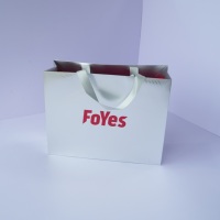 Weiße Karton-Geschenktüte mit Individuell Bedrucktem Logo für Unternehmenswerbung und Supermarkt-Promotion mit Gestanzten Griffen im Offsetdruck