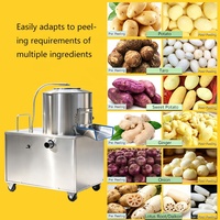 Machine à éplucher les fruits et légumes automatique en acier inoxydable pour manioc, gingembre, carotte, pomme de terre, oignon rouge, haute capacité de lavage