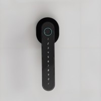 200-Serrure intelligente de porte en bois à empreintes digitales Serrure de porte intelligente en alliage d'aluminium avec caractéristiques de haute sécurité
