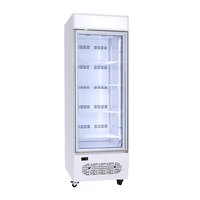 Congélateur vertical Kenkuhl SD420 à porte simple, congélateur profond vertical pour la présentation de glaces