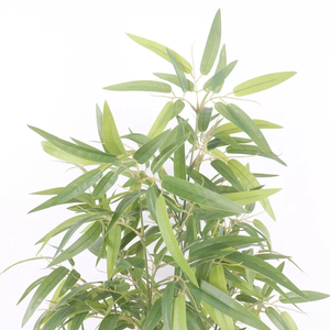 <span class=keywords><strong>Bonsaï</strong></span> en pot de plantes vertes, feuilles de bambou artificielles, arbre pour décoration intérieure, <span class=keywords><strong>prix</strong></span> d'usine - Product Image 4