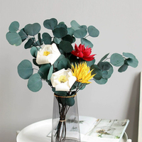 Geconserveerde Gedroogde Appel Eucalyptus Bladeren Takken Yunnan Gedroogde Eucalyptus Bladeren Gedroogde Natuurlijke Gedroogde Eucalyptus Bladeren