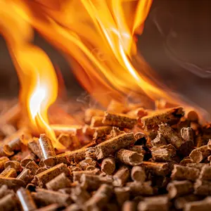 Enplus A1 CN007 A1 Biomasse Holz brennstoff Biomasse brenner Holz pellet zum Schmelzen von Aluminium-und Heizöfen, 4300-4850 Kcal/Kg/Woode