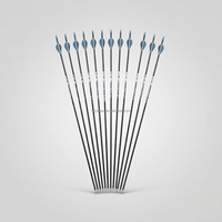 Flèches de chasse professionnelles 100 % fibre de carbone pure, pointes de chasse remplaçables, plumes en plastique pour tir à l'arc 3D en compétition