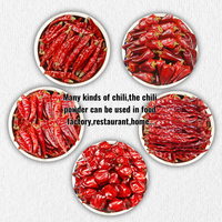 Bubuk cabe kering pedas, bumbu memasak bubuk cabai merah Paprika kekuatan