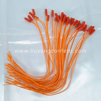 Steuergerät Hot Sale 0,5 Meter Zünder Kupferdraht Feuerwerk Werkzeug Neujahr Pyro-Pyro technic Electric Ignitor Plastic Safe Secure