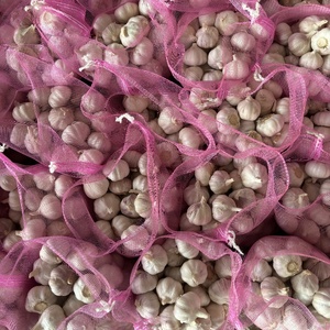 Nouvelle Saison Ail Blanc Frais du Shandong en Sac <span class=keywords><strong>de</strong></span> 24 kg - Product Image 4