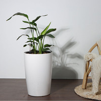 Pot bunga Nordic dengan penyerapan air otomatis Diameter besar lantai plastik desain Modern-grosir pasokan langsung pabrik