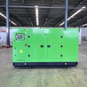 Groupe électrogène silencieux encastré de 200 kW au gaz (GPL, GNL, Biogaz) pour alimentation de secours continue des bureaux urbains, des parcs et des hôpitaux publics - Product Image 6