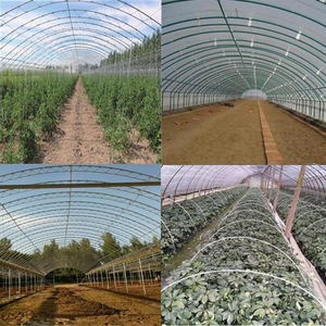 เสาไฟเบอร์กลาสสำหรับการสนับสนุนทางการเกษตรและการเลี้ยงสัตว์รั้วอิเล็กทรอนิกส์ - Product Image 2