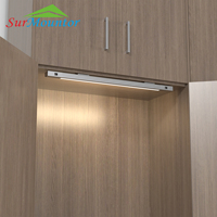 Saklar Sensor Pintu Ganda IR Cerdas Surmountor untuk Pintu Kabinet/Lemari DC 12V Lampu LED Jangkauan Sensor 10cm Model A1811-413