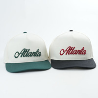 Casquette de baseball à bord incurvé personnalisée 5 panneaux structurée en gros logo brodé en 3D tissu Oxford style Dobby motif de fruits à pois