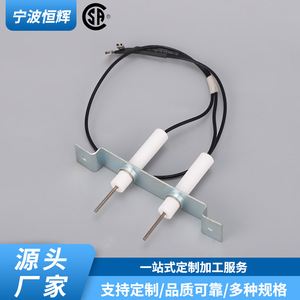 Gas <b>Boiler</b> Ignition Rod HF 068 Stainless Steel Embedded Type For Wall Hung Burner Part Number 74006098 - Product Image 3