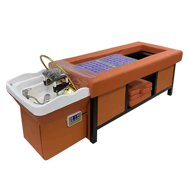 Electric Backrest Lift Salon Spa Water