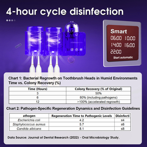 Family 2Cups UV Toothbrush Sanitizer Holder 99.99% Sterilization Rate Multi-Toothbrush Stand Ultraviolet Light Toothbrush Holder - Product Image 3