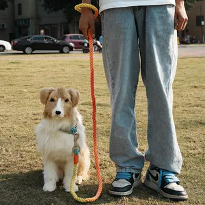 튼튼한 나일론 밧줄 애완 동물을 가진 중간 큰 개를 위한 안락한 덧대진 손잡이 사려깊은 가죽 끈 개 가죽끈
