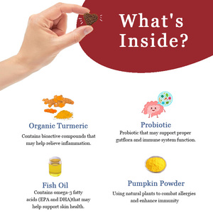 Complément Alimentaire pour Animaux de Compagnie en Gros OEM – Friandises Tendres aux Champignons pour Chiens – Complément Multifonctionnel pour Chiens avec Champignons Biologiques pour le Système Immunitaire - Product Image 5