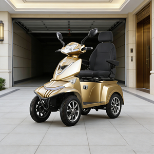 Safe and stable/ usable in all seasons/1000W easy to learn and ride/parent-child electric four-wheeler/ Vista Quater-3 - Product Image 1