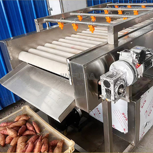 Procesador de Limpieza de Dos Etapas con Alimentación y Descarga Automáticas para Tubérculos Subterráneos, Jengibre, Palma, Camarones y Abulón - Product Image 2