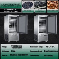 Congelador de -40 grados para carne y dumplings, congelador de aire, gabinete refrigerado para alimentos congelados, refrigerador para almacenamiento de mariscos