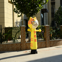 Danseur gonflable publicitaire personnalisé pour Halloween : Homme citrouille, Crâne effrayant, Fantôme, Tube ondulant pour décoration de fête