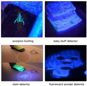 LED Headlamp With UV Light LED Black Light Headlamps Night Fishing <strong>Scorpions</strong> Hunting Auto <strong>Oil</strong> Rechargeable Headlight - Product Image 2