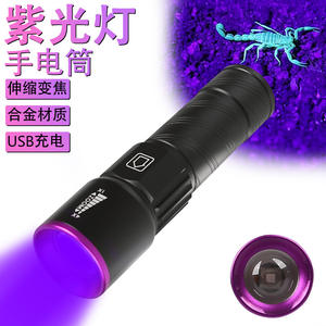 Lampe de poche rechargeable transfrontalière, éclairage à lumière <span class=keywords><strong>blanche</strong></span>, violet, détection de champignons, inspection des billets de banque - Product Image 4