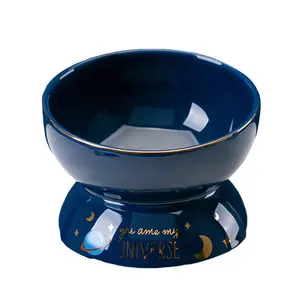 Unique Universe Design Wide Raised Small Dog Cat Bowl 15 Degree Tilted Elevated Pet Feeder Cat Food Bowl Ceramic With Stand