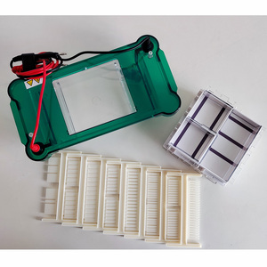 Sistema de Electroforesis en Gel Drawell DW-SPCT, Aparato de Electroforesis con Caja de Gel y Capacidad para 1-100 Muestras - Product Image 3