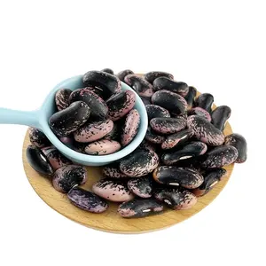 中国大黑斑点芸豆，不同大小LBSKB大黑斑点芸豆