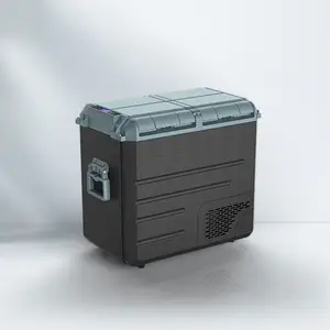 WAYCOOL WE65 58L AC100 ~ 240V hızlı soğutma araba buzdolabı çift sıcaklık ve çift kontrol fonksiyonu ile balıkçılık için