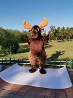 Robe de soirée populaire, Costume de mascotte géante gonflable, mignon, grand nez, élan, Offre Spéciale