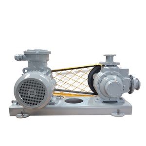 Draagbare Lpg Overdracht Pomp Elektrische Gear Pomp Luchtpomp Ce Roterende Pomp Standaard 1 Jaar Hoge Druk, lage Druk 380V Oem, Odm - Product Image 1