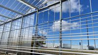 Multi-span grote landbouwkas van polycarbonaat, lage kosten & hoge opbrengst, geschikt voor tomatenteelt