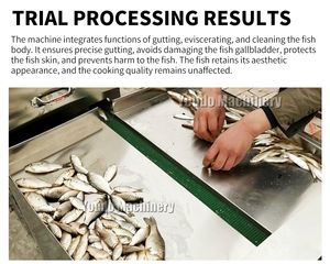 เครื่องแปรรูปปลาอัตโนมัติขนาดเล็กอุปกรณ์กำจัดและเปิดหน้าท้องอเนกประสงค์ - Product Image 4