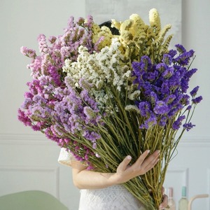 Ramo de Flores Secas, <span class=keywords><strong>No</strong></span> Me Olvides, Flores Secas <span class=keywords><strong>para</strong></span> Decoración del Hogar, Decoración de Bodas - Product Image 3