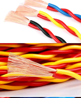 Flammhemmender ZC-RVS Twisted-Pair Flexibler Kupferdraht 300V für Elektrische Beleuchtung und Geräteverkabelung