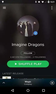 Gestión de Anuncios Globales de <span class=keywords><strong>Spotify</strong></span>, Plan de Marketing Personalizado, Agencia - Product Image 4