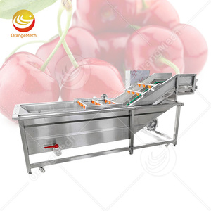 เครื่องทำความสะอาดผักผลไม้อุตสาหกรรมซักมะม่วง orme lavadora de burbujas de frutas Y verduras - Product Image 1