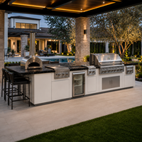Cuisine barbecue extérieure  et station de grill pour villas Four électrique encastré sur mesure et gril en acier inoxydable